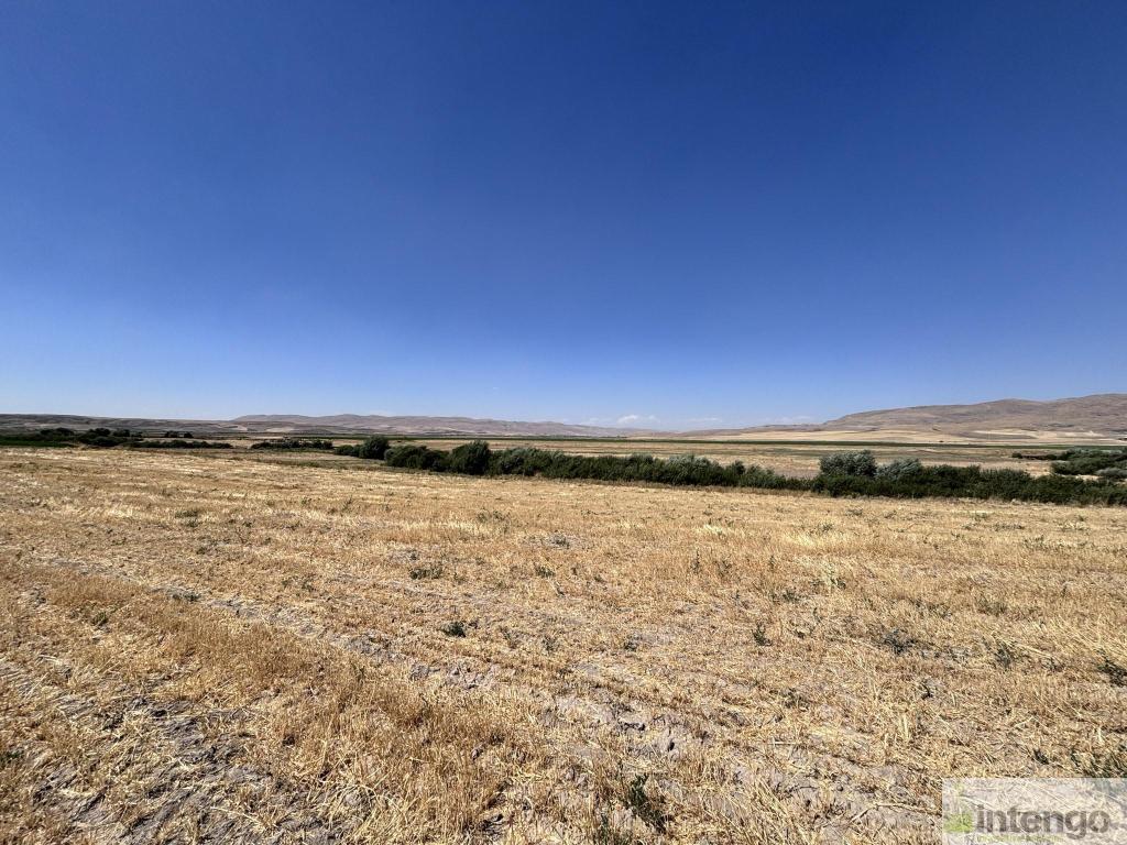 MALAZGİRT MOLLABAKİ KÖYÜ'NDE SATILIK TARLA (AB-978) — foto 3