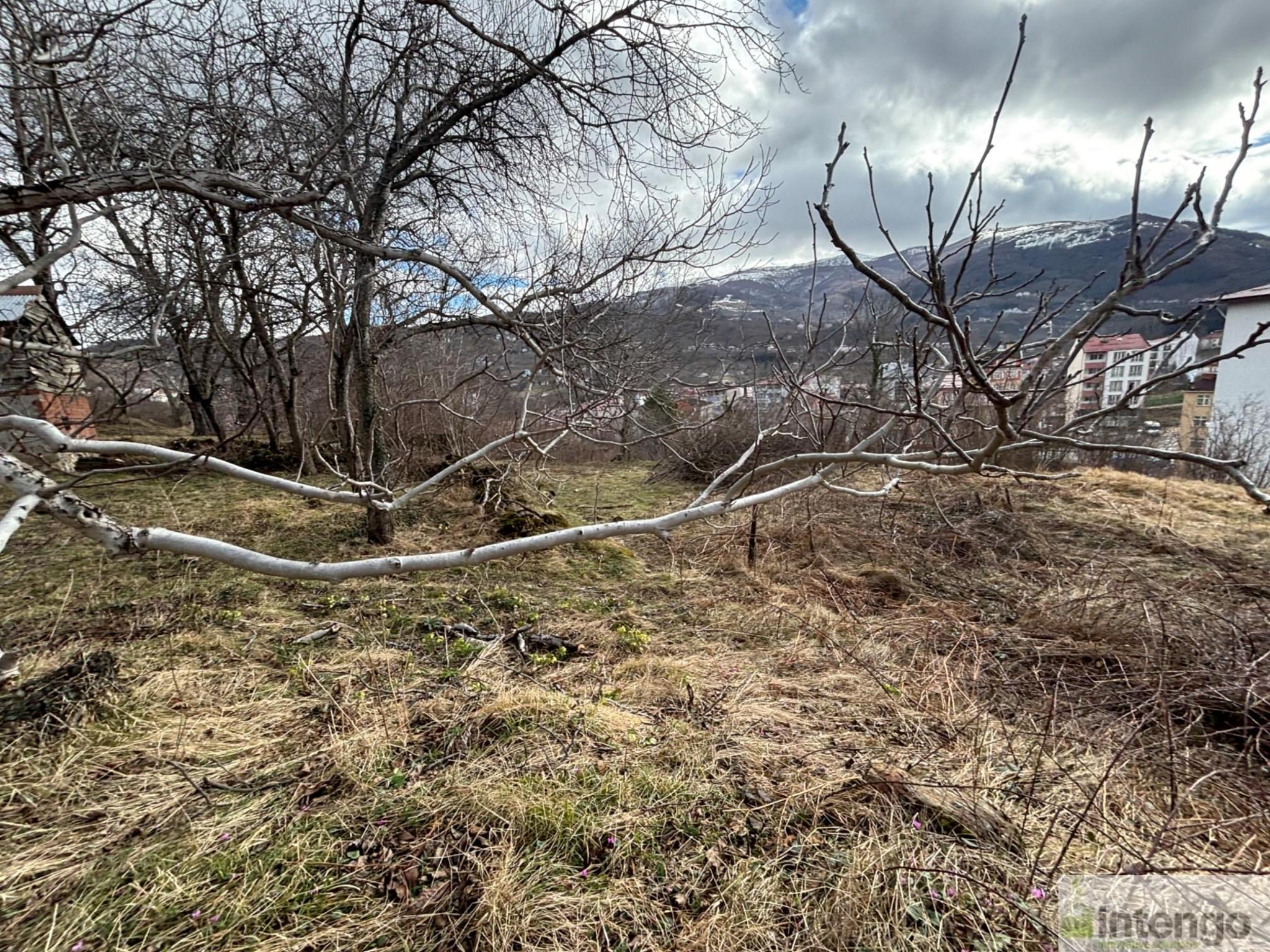 Arsa/Arazi - ORDU GÖLKÖY