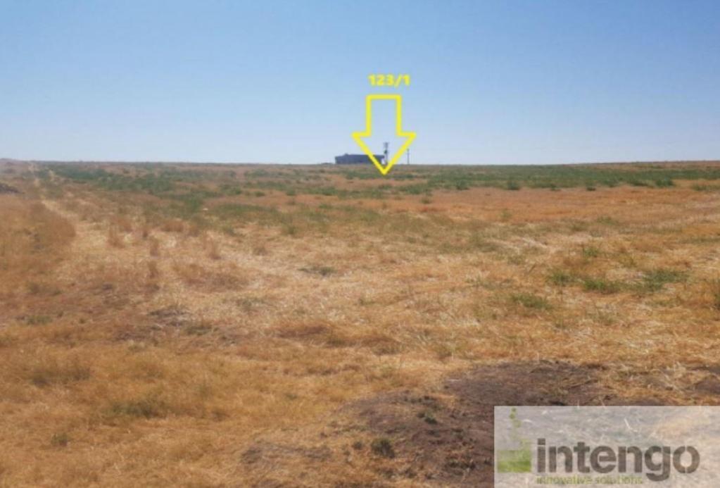 KIZILTEPE SARICA KÖYÜ'NDE SATILIK 2 ADET TARLA (T-305352)