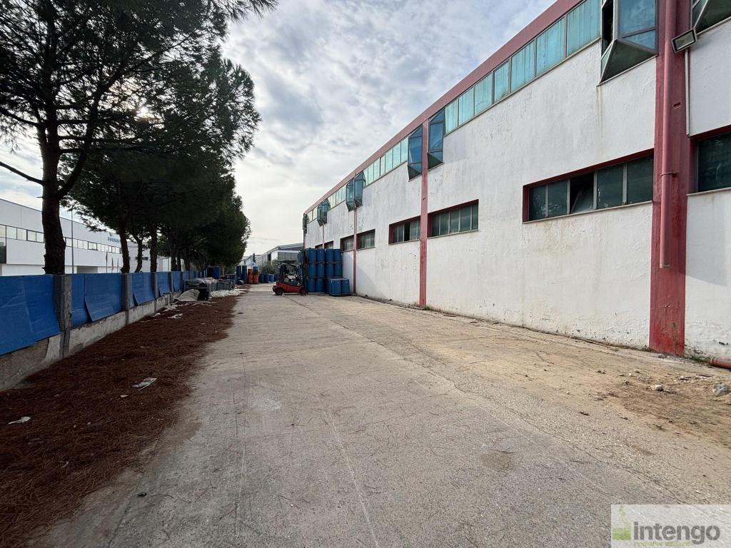 MENEMEN MALTEPE SERBEST BÖLGESİ'NDE SATILIK FABRİKA (T-306586)