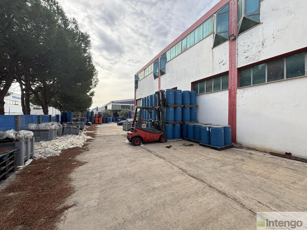 MENEMEN MALTEPE SERBEST BÖLGESİ'NDE SATILIK FABRİKA (T-306586)