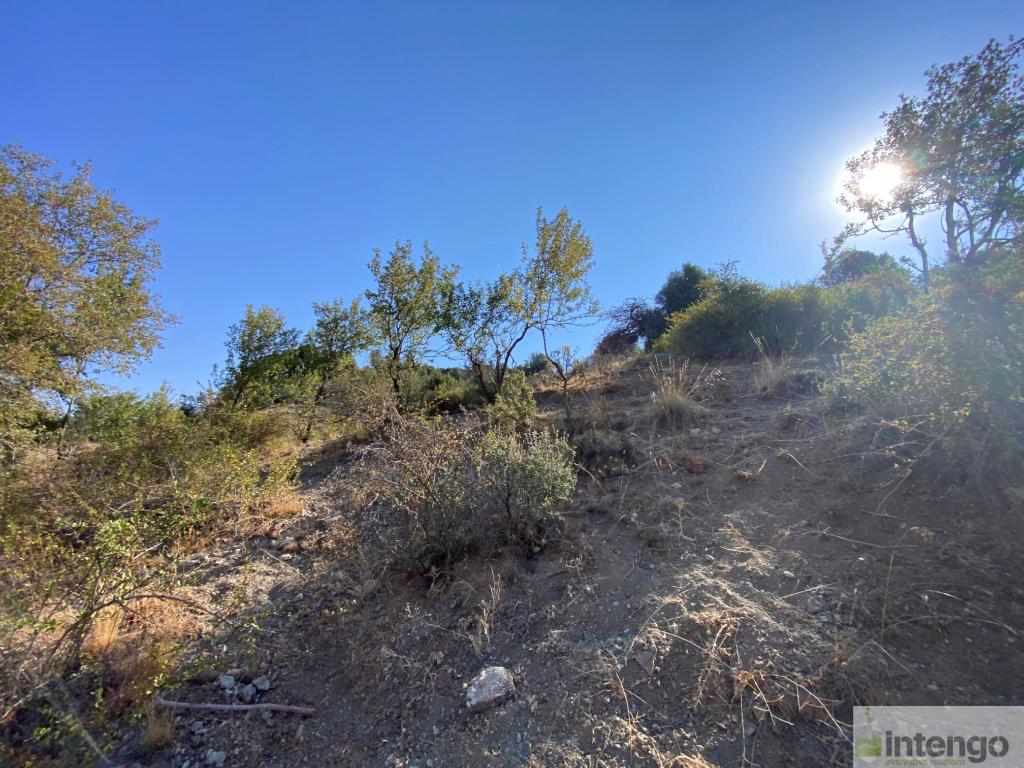 SEYDİKEMER BEKÇİLER MAHALLESİ'NDE SATILIK TARLA (H-1223)