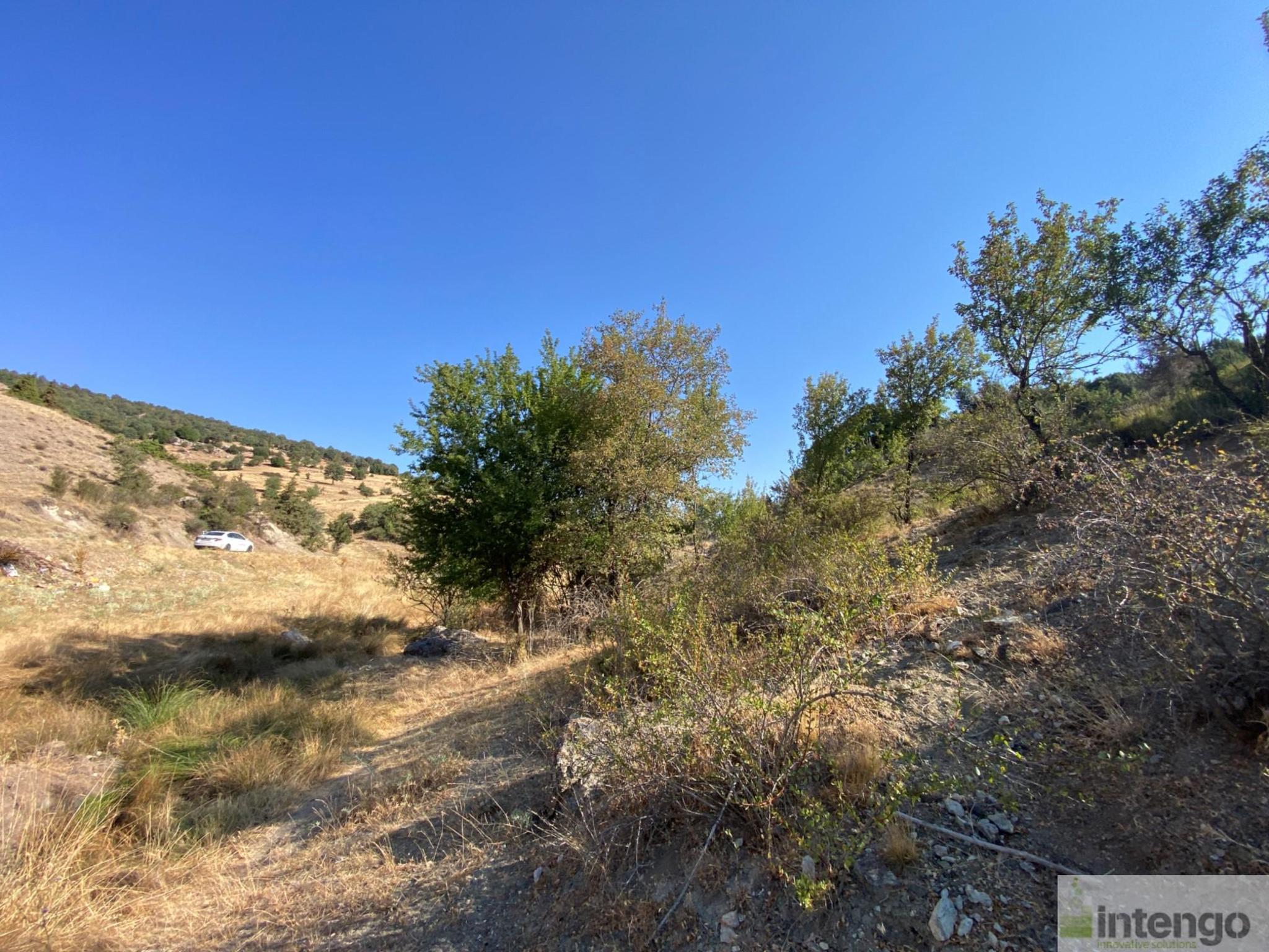 Satılık Tarla - Muğla Seydikemer
