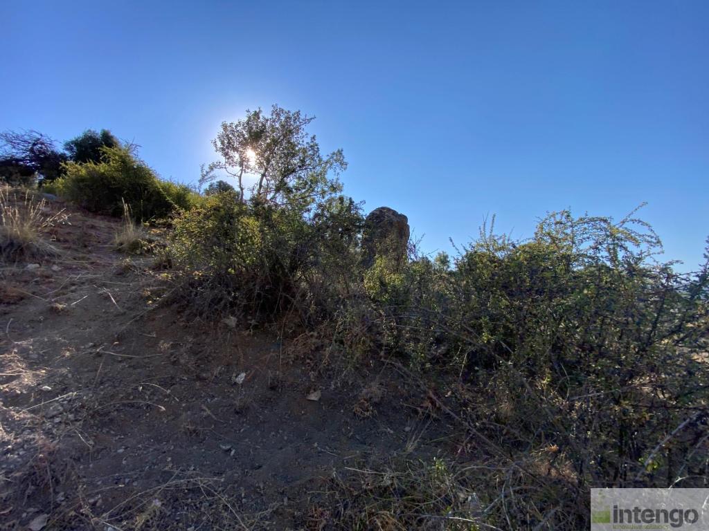 SEYDİKEMER BEKÇİLER MAHALLESİ'NDE SATILIK TARLA (H-1223)