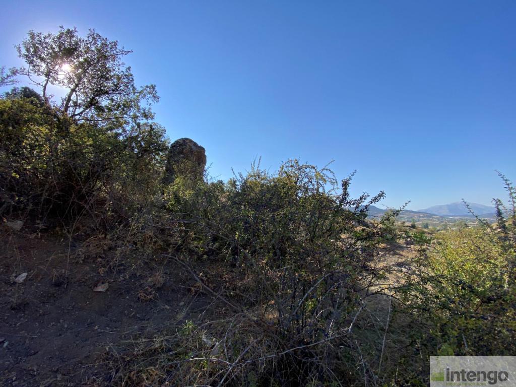 SEYDİKEMER BEKÇİLER MAHALLESİ'NDE SATILIK TARLA (H-1223)