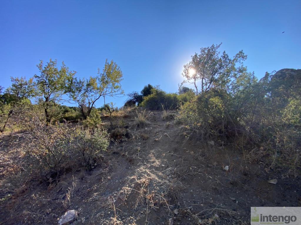 SEYDİKEMER BEKÇİLER MAHALLESİ'NDE SATILIK TARLA (H-1223)