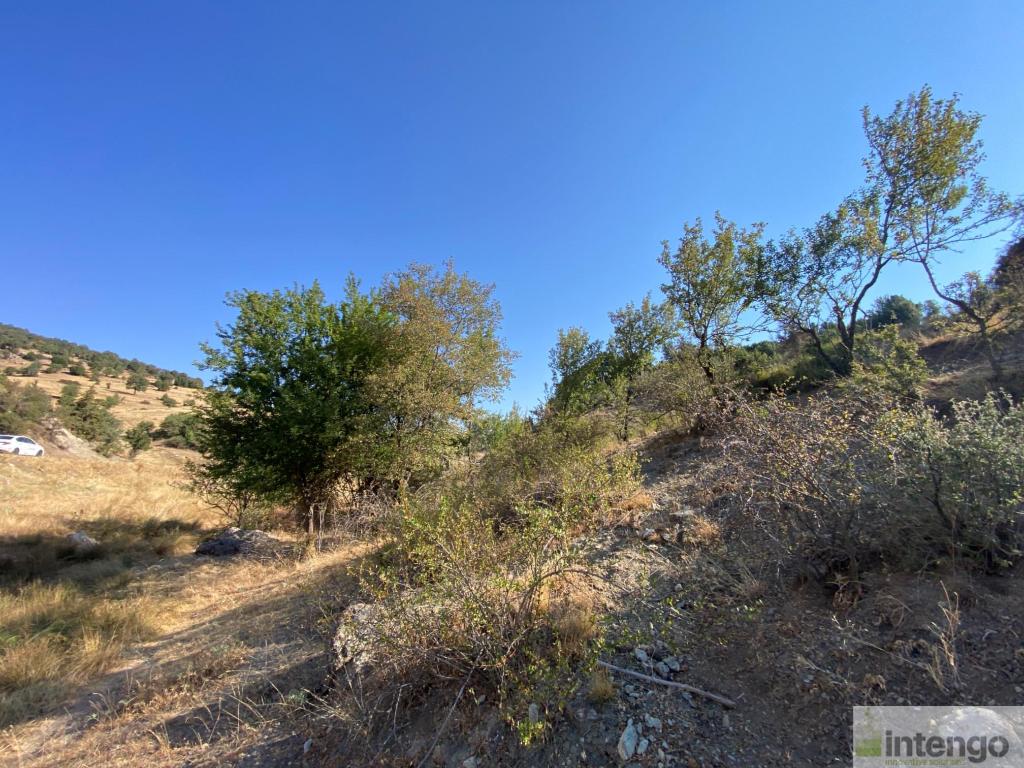 SEYDİKEMER BEKÇİLER MAHALLESİ'NDE SATILIK TARLA (H-1223)