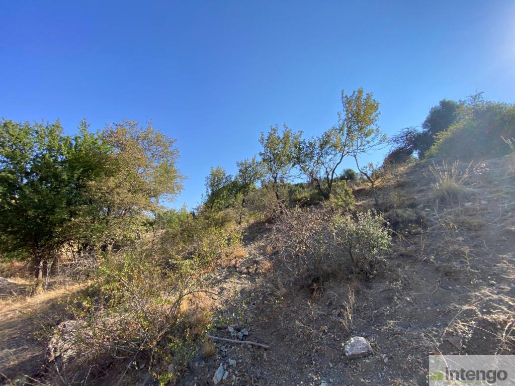 SEYDİKEMER BEKÇİLER MAHALLESİ'NDE SATILIK TARLA (H-1223)