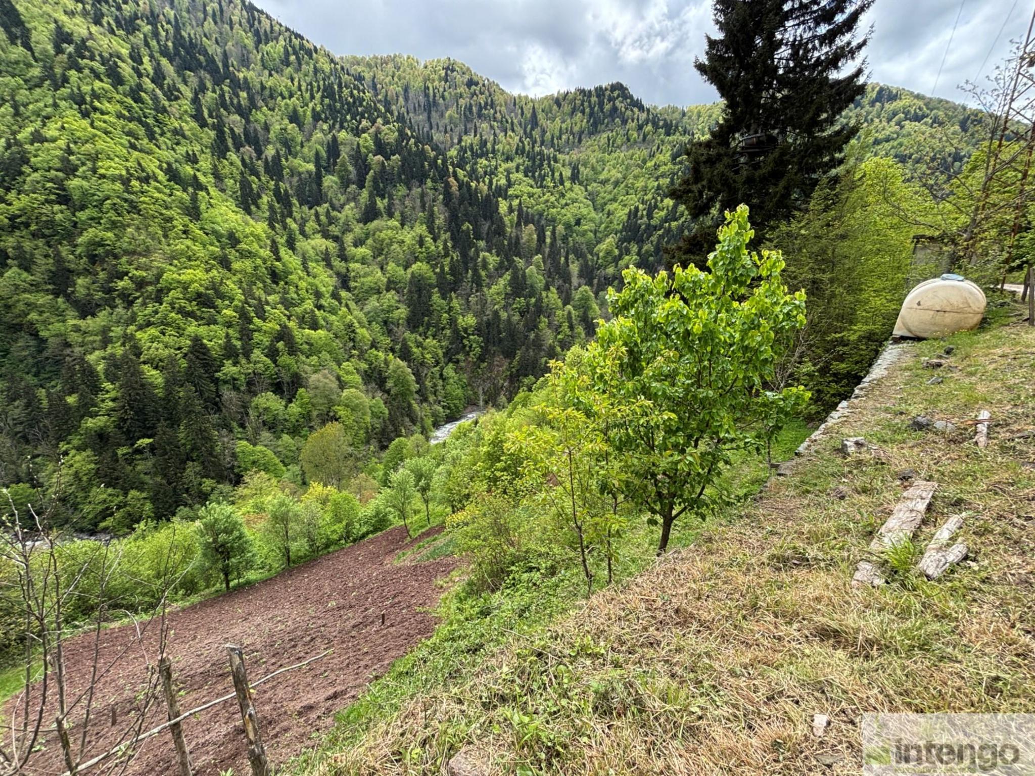 Satılık Bahçe - Artvin Borçka