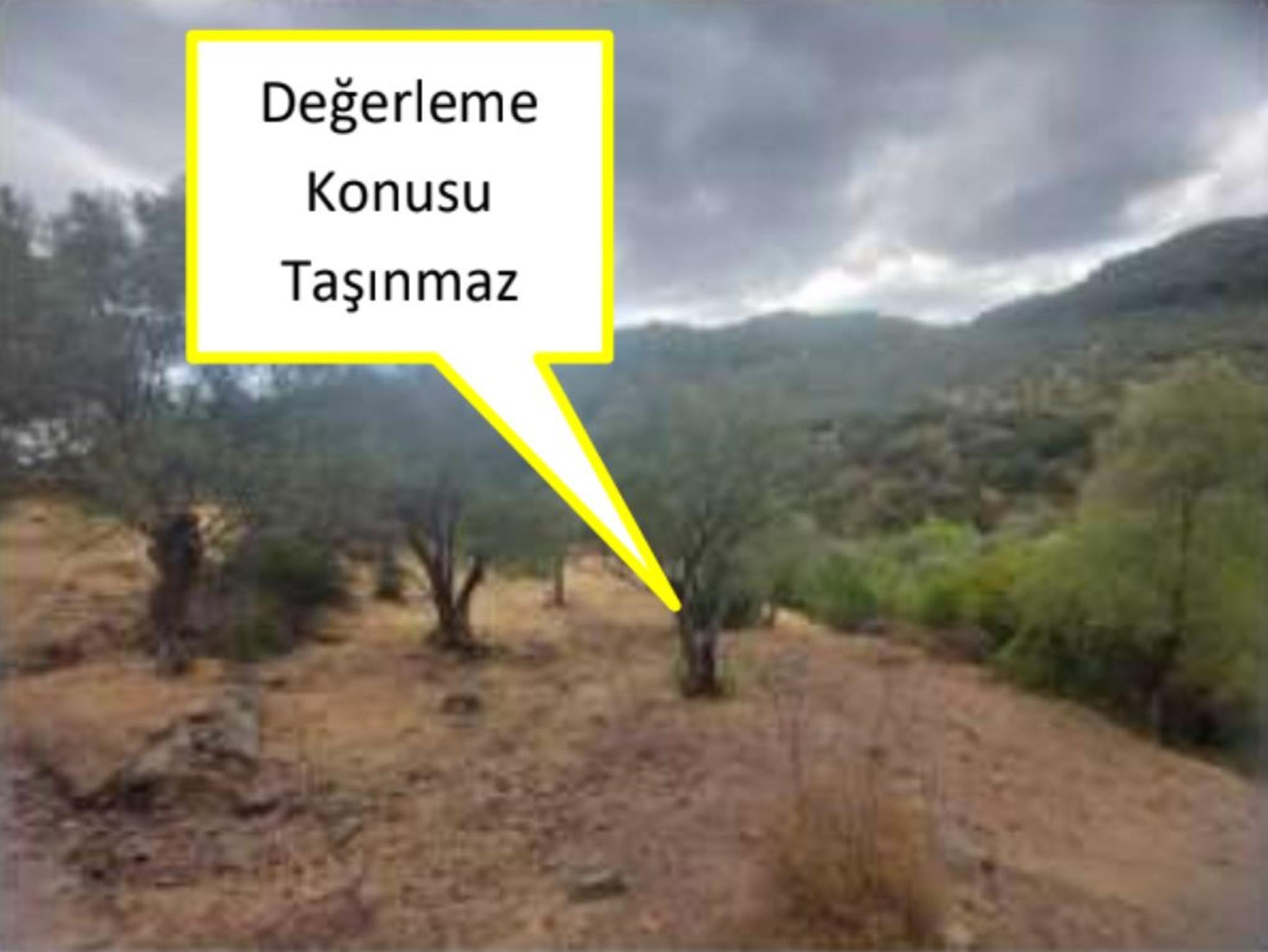 Arsa/Arazi - İZMİR BERGAMA