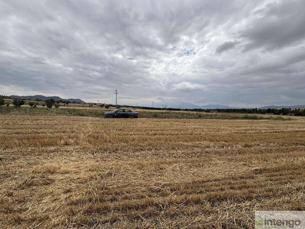 SEYDİŞEHİR ÇAVUŞ MAHALLESİ'NDE SATILIK HİSSELİ TARLA (TKA-2995)