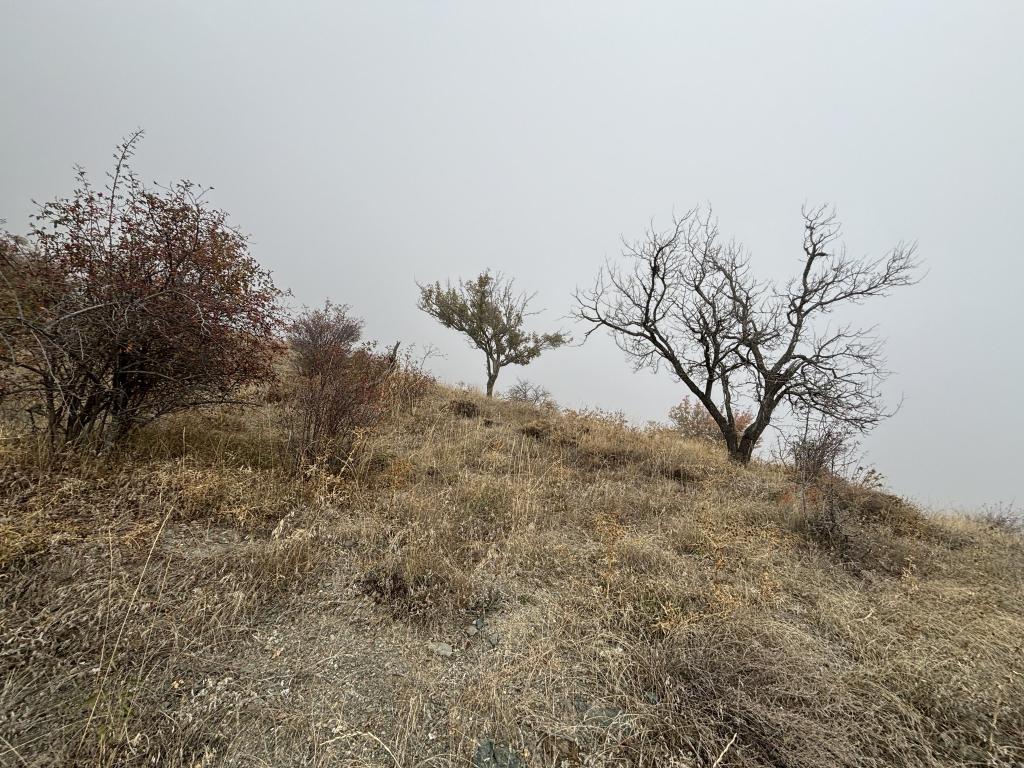 AKYURT HAYDAR MAHALLESİ'NDE SATILIK HİSSELİ BAĞ (TKA-959)