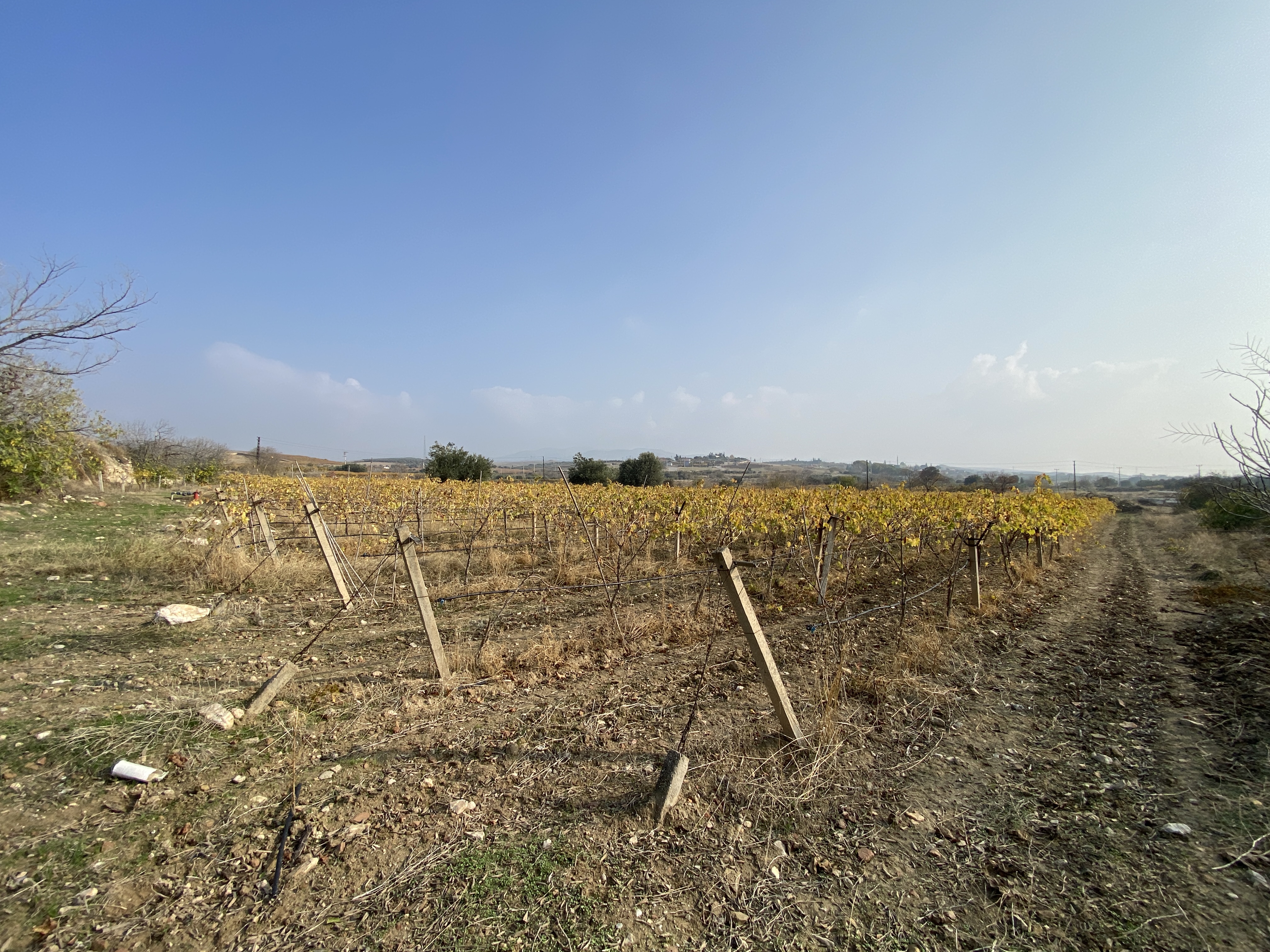 Arsa/Arazi - MANİSA ALAŞEHİR