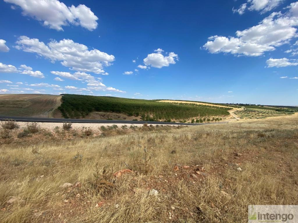 KAHTA TUĞLU KÖYÜ'NDE SATILIK TARLA (R-1534) — foto 3