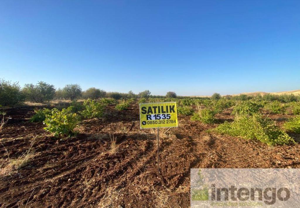 KAHTA TUĞLU KÖYÜ'NDE SATILIK BAĞ (R-1535)