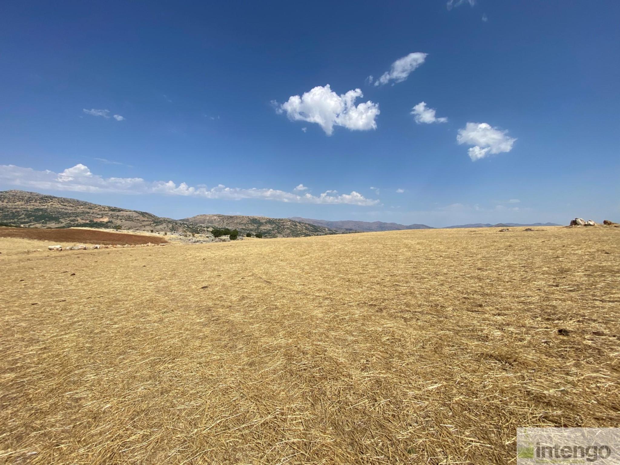 Arsa/Arazi - DİYARBAKIR ERGANİ
