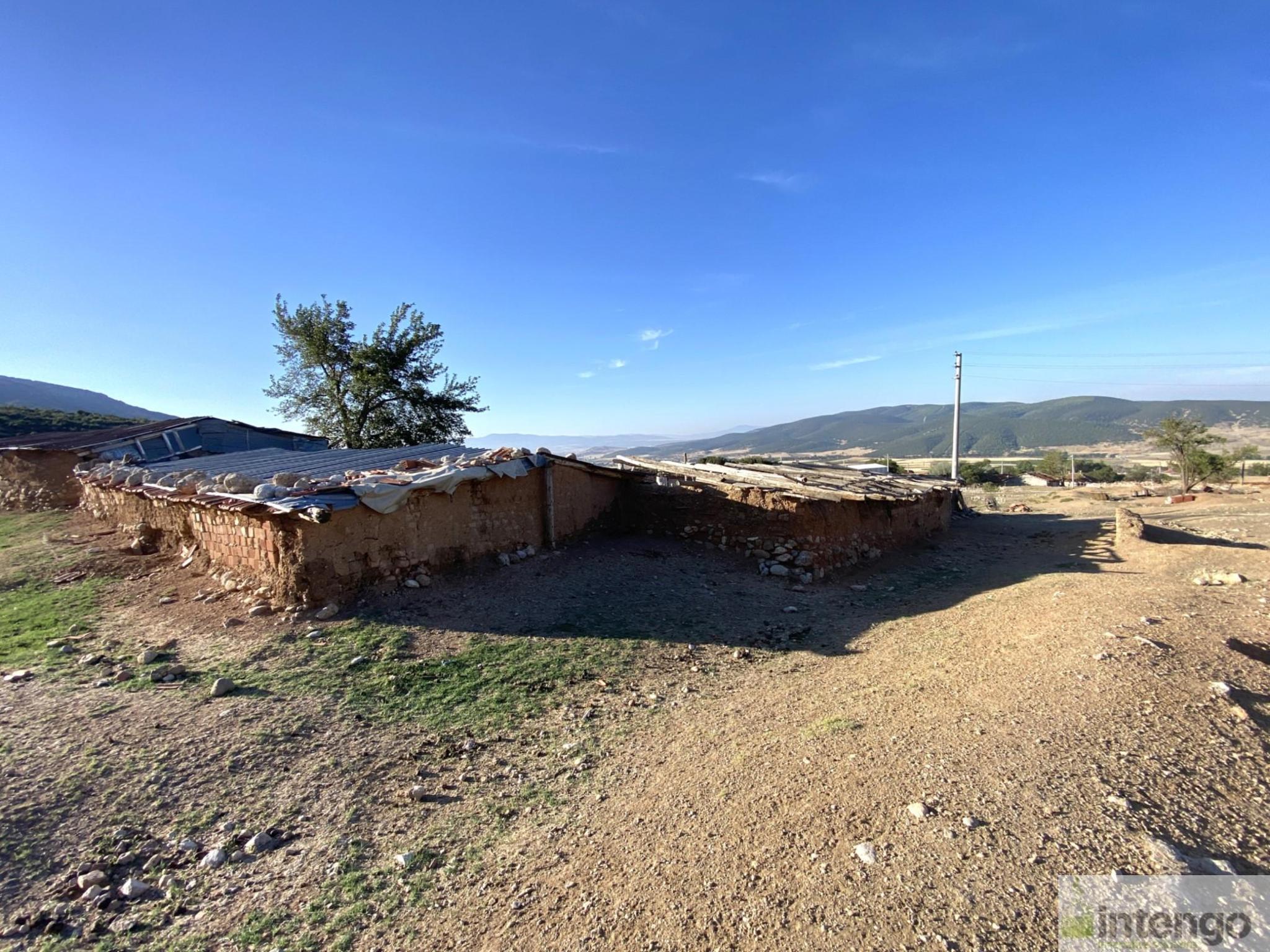 Arsa/Arazi - AFYONKARAHİSAR DİNAR