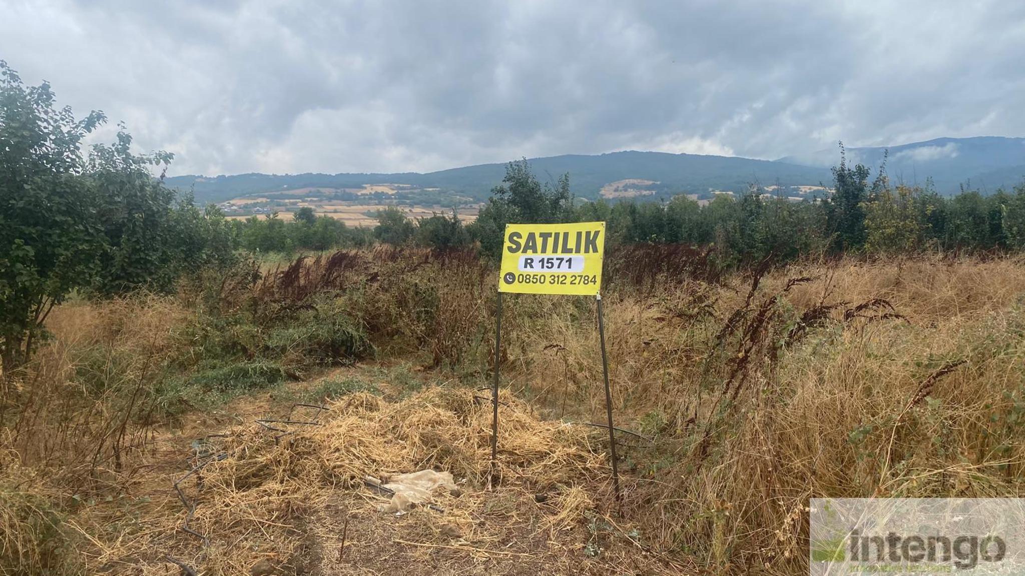 Arsa/Arazi - BURSA İNEGÖL