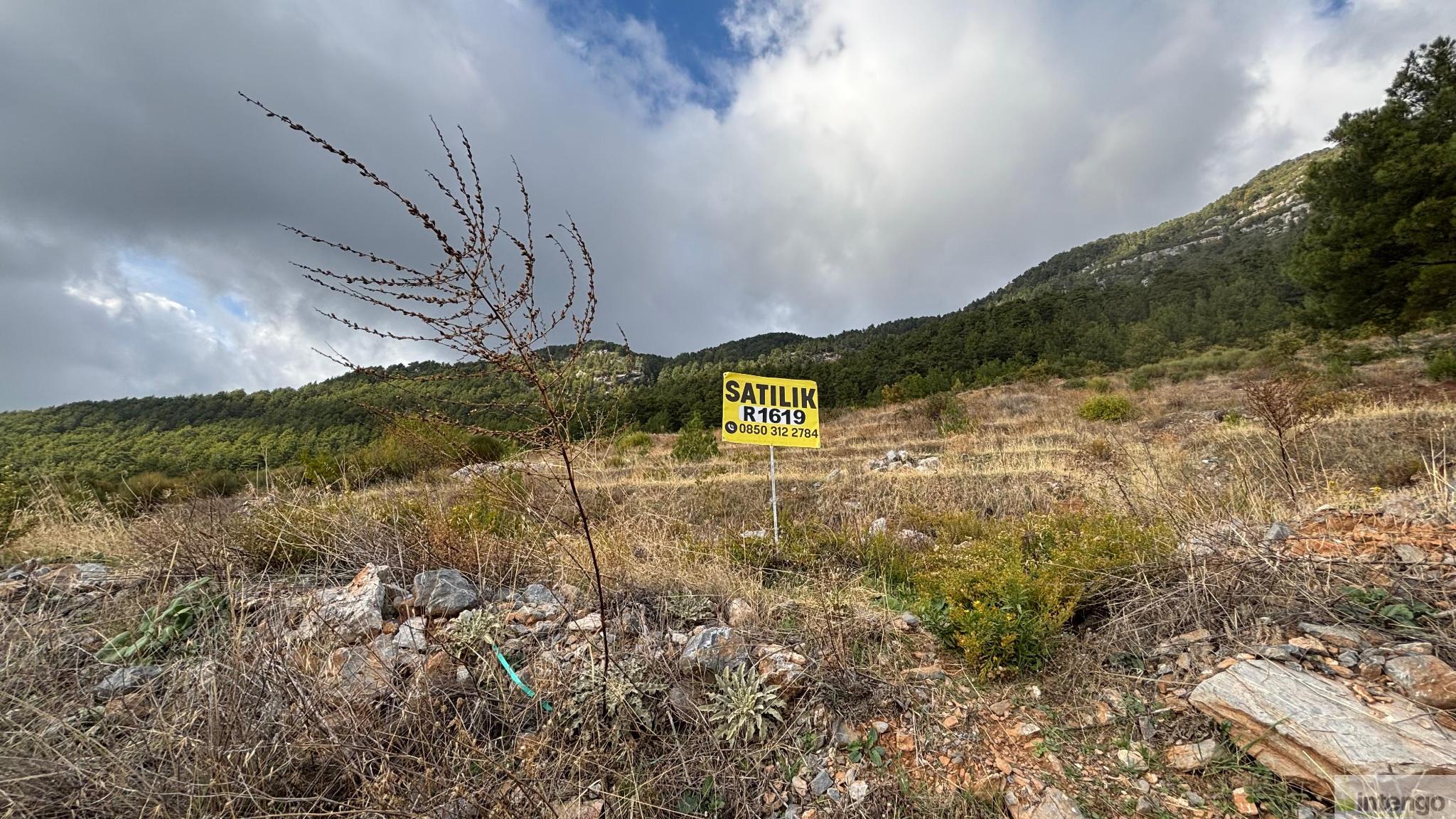 Satılık Tarla - Antalya Alanya