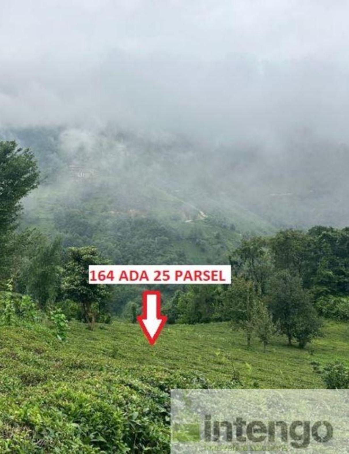 Satılık Arsa/Arazi - Rize Ardeşen ilan görseli 6