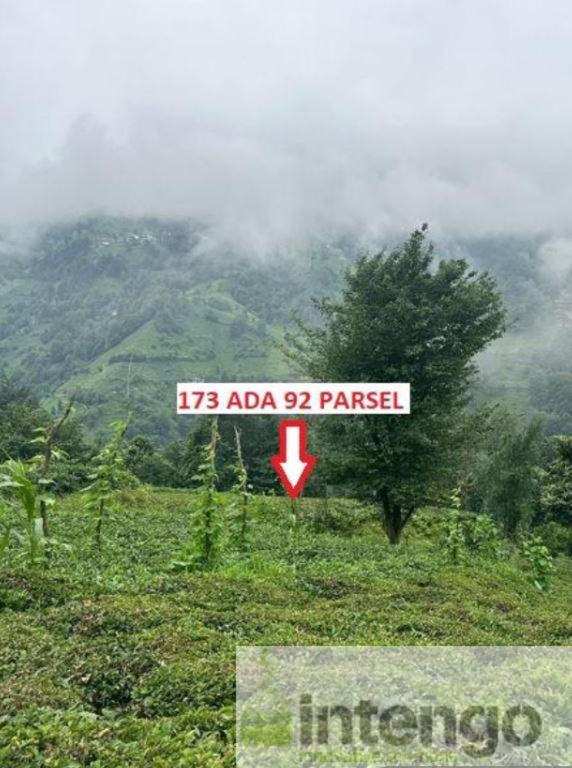 Satılık Arsa/Arazi - Rize Ardeşen ilan görseli 6