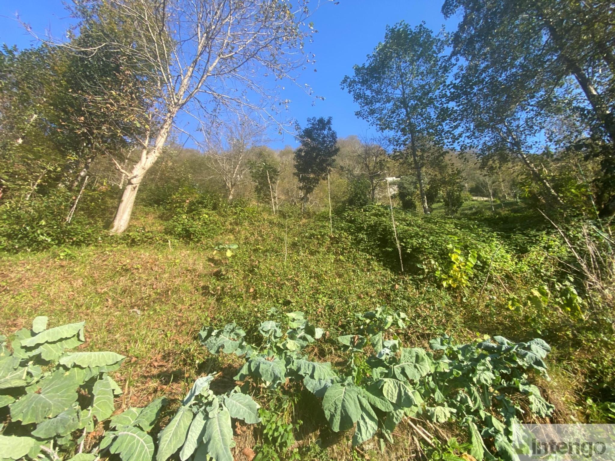 Satılık Arsa/Arazi - Rize Ardeşen ilan görseli 16