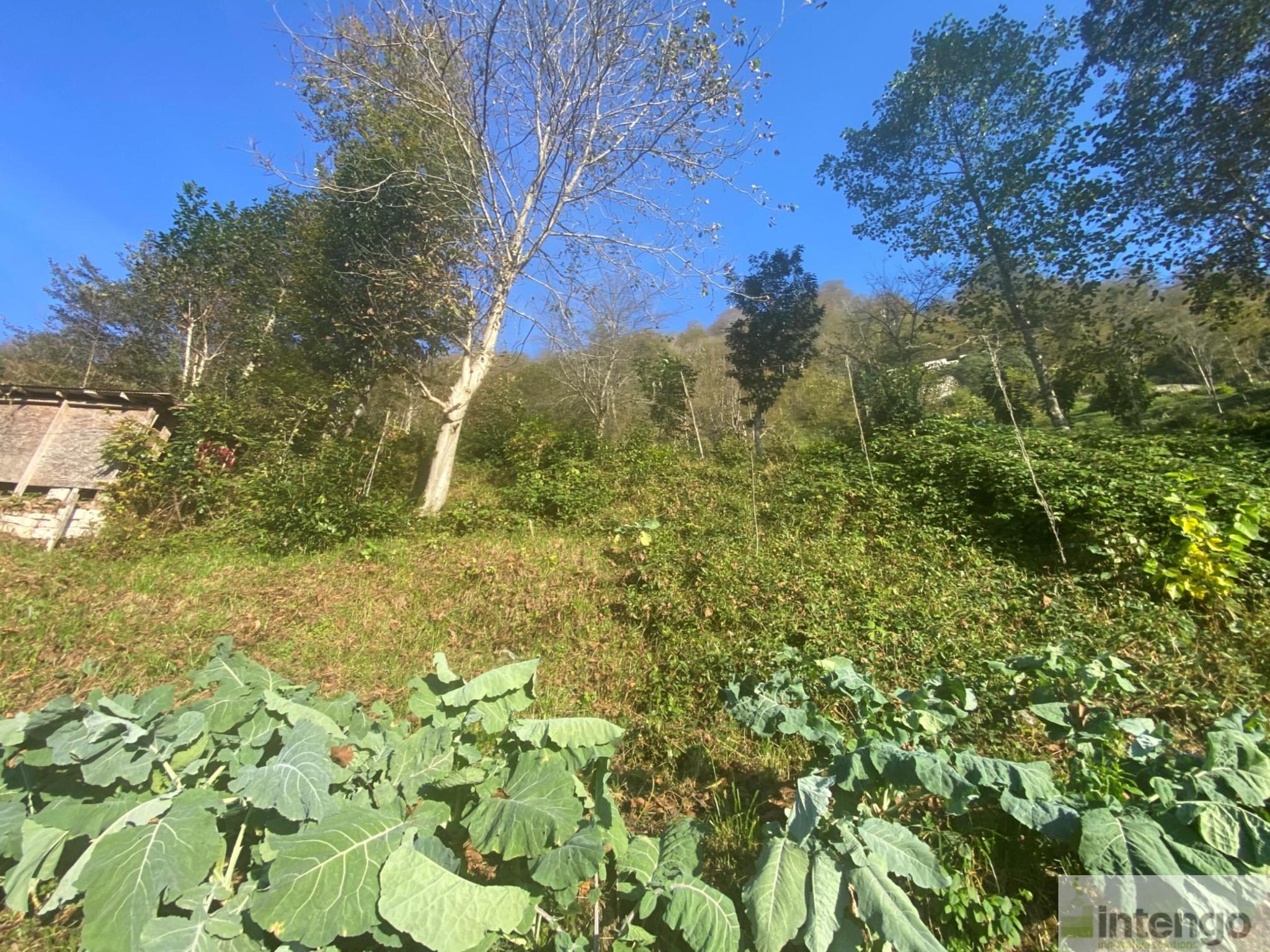 Satılık Arsa/Arazi - Rize Ardeşen ilan görseli 17