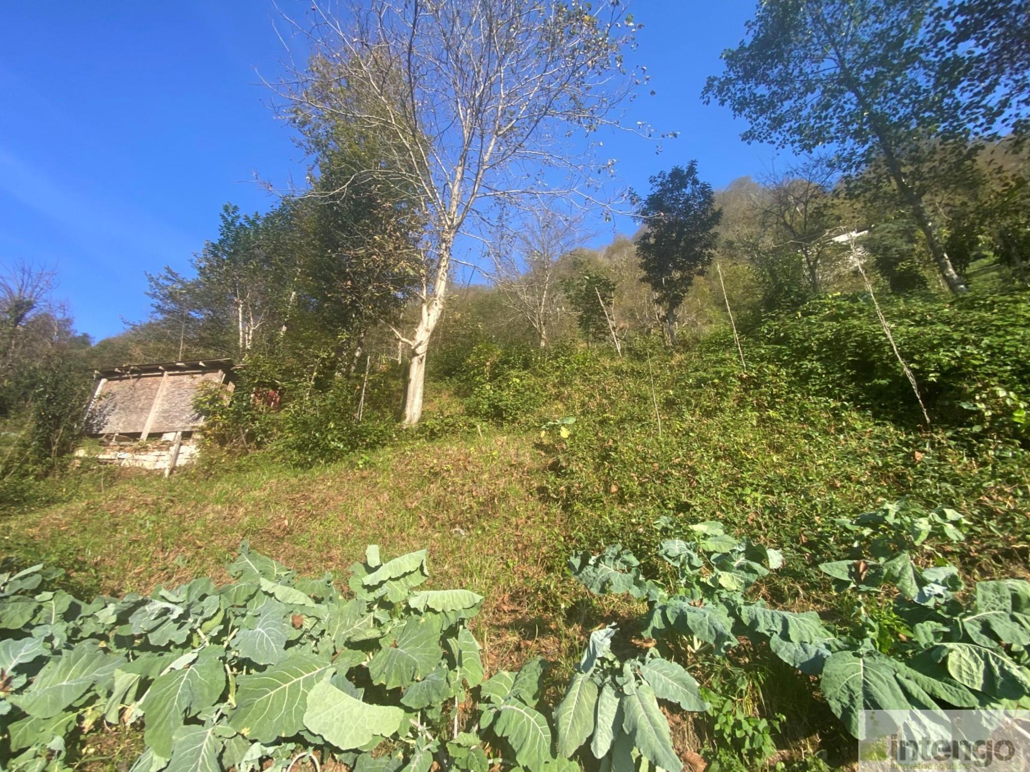 Satılık Arsa/Arazi - Rize Ardeşen ilan görseli 15
