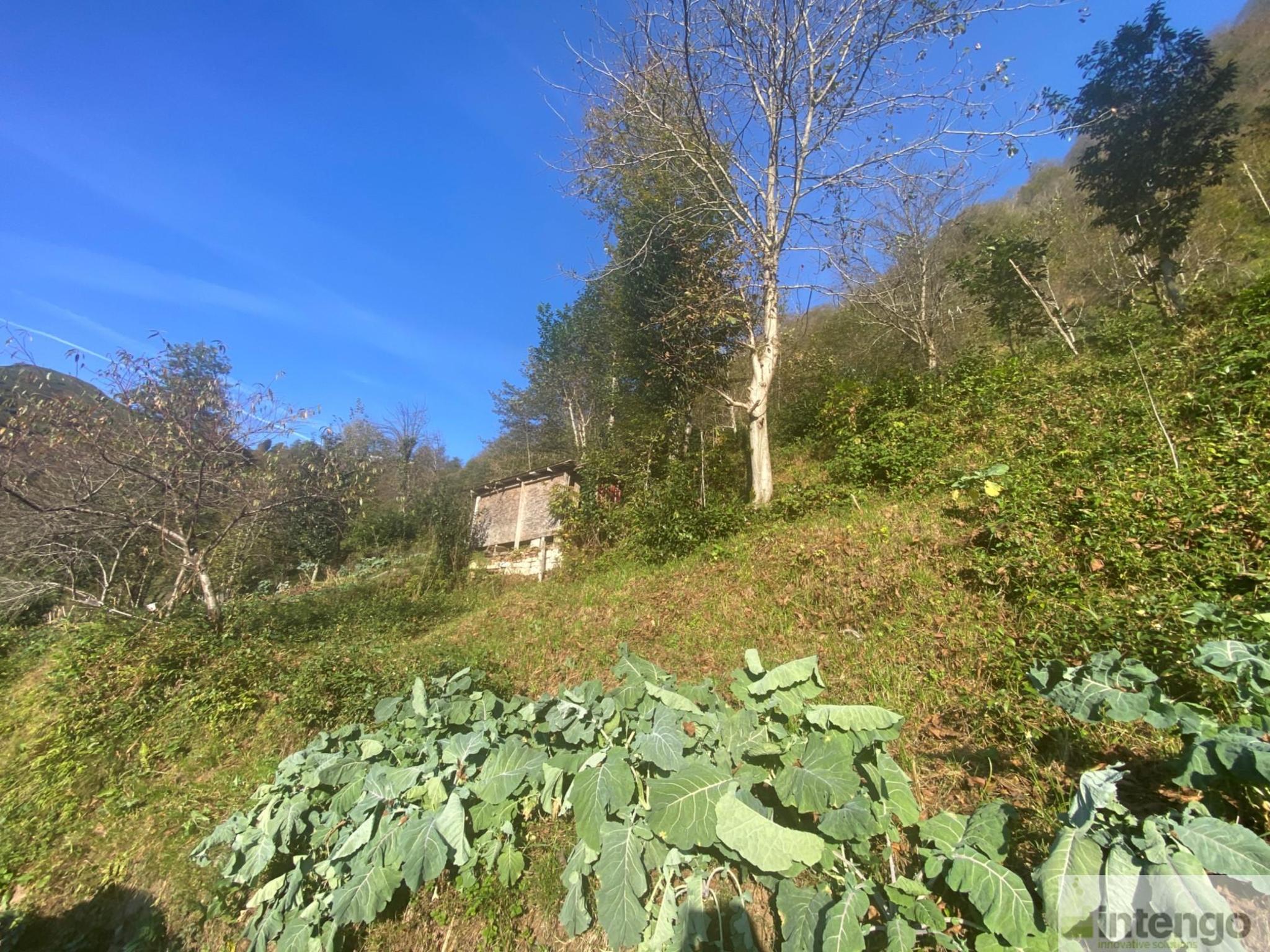 Satılık Arsa/Arazi - Rize Ardeşen ilan görseli 13