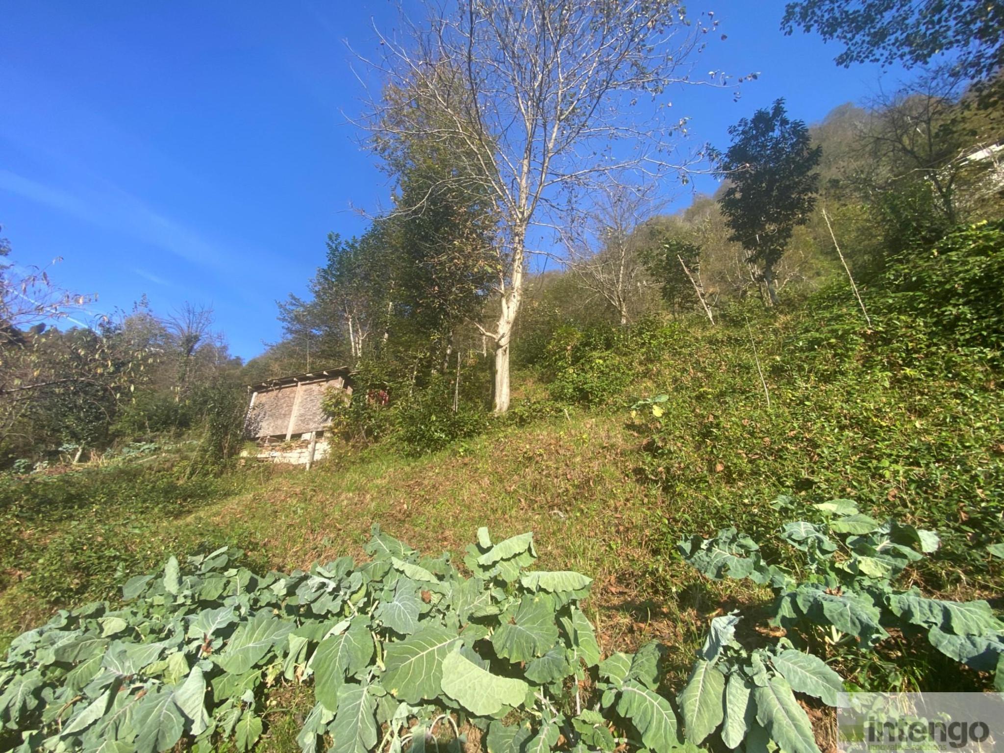 Satılık Arsa/Arazi - Rize Ardeşen ilan görseli 14