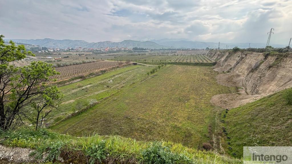 BULDAN YENİCEKENT MAHALLESİ'NDE SATILIK TARLA (R-1745) — foto 7