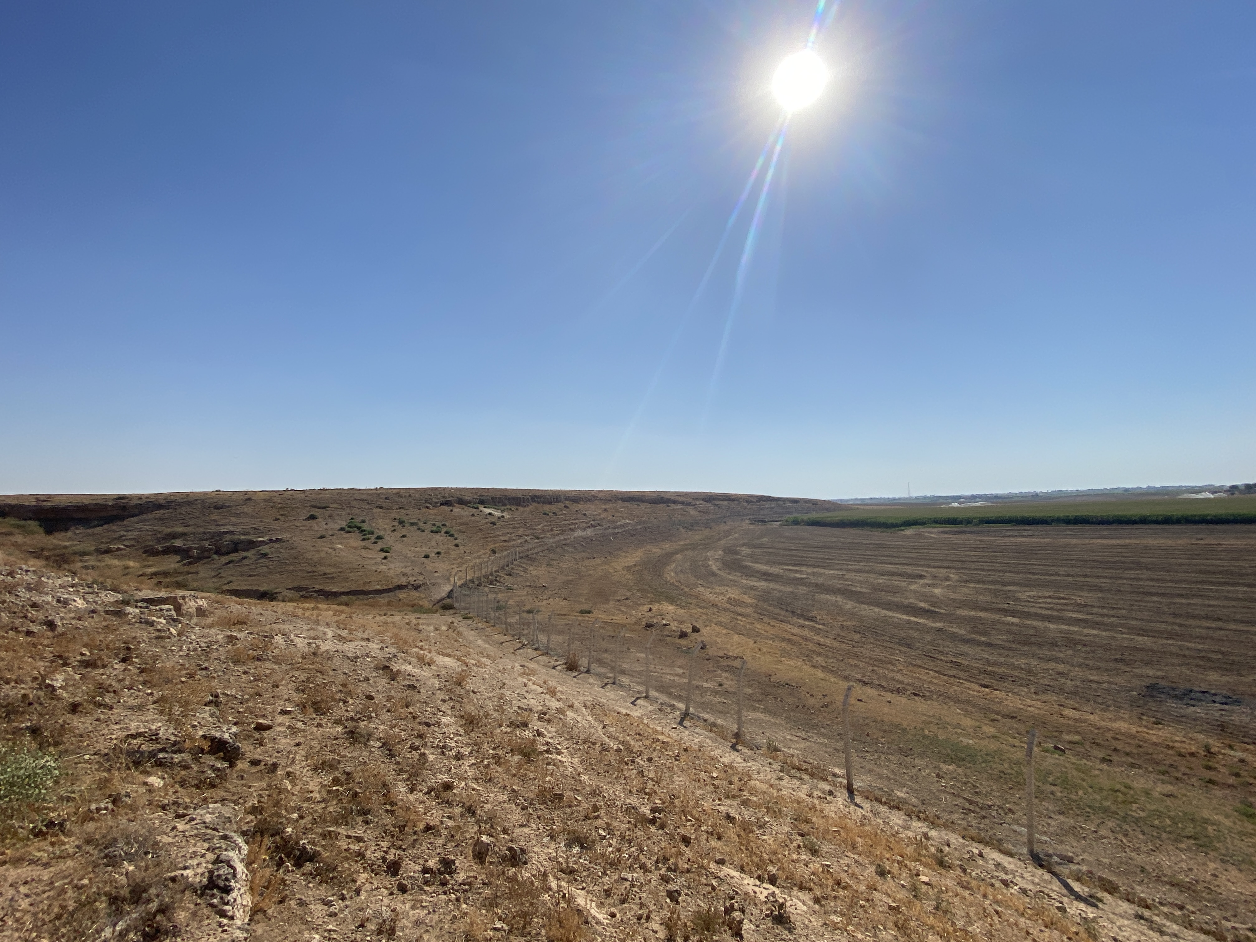 Satılık Tarla - Şanlıurfa Harran ilan görseli 20