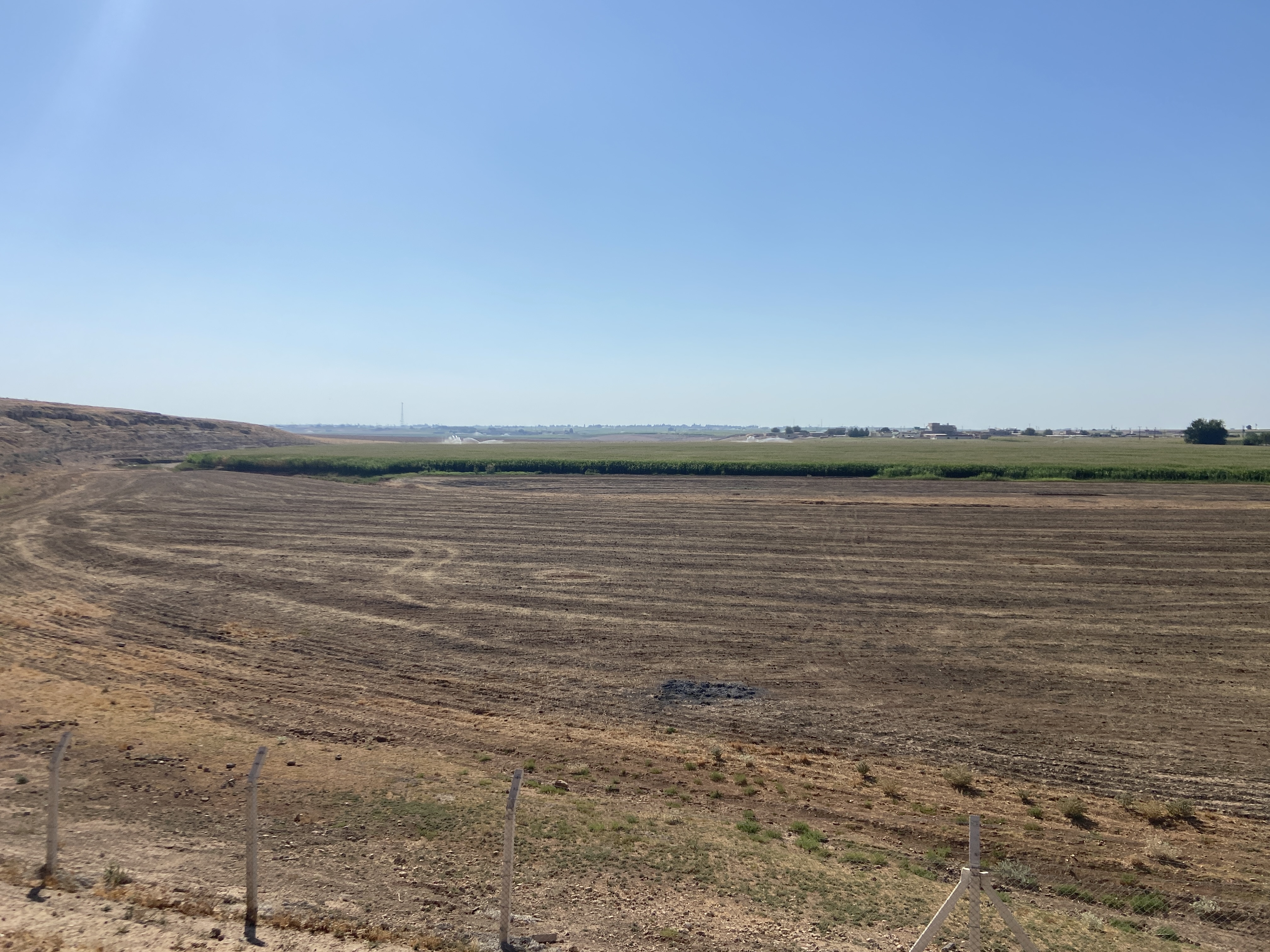Satılık Tarla - Şanlıurfa Harran ilan görseli 25