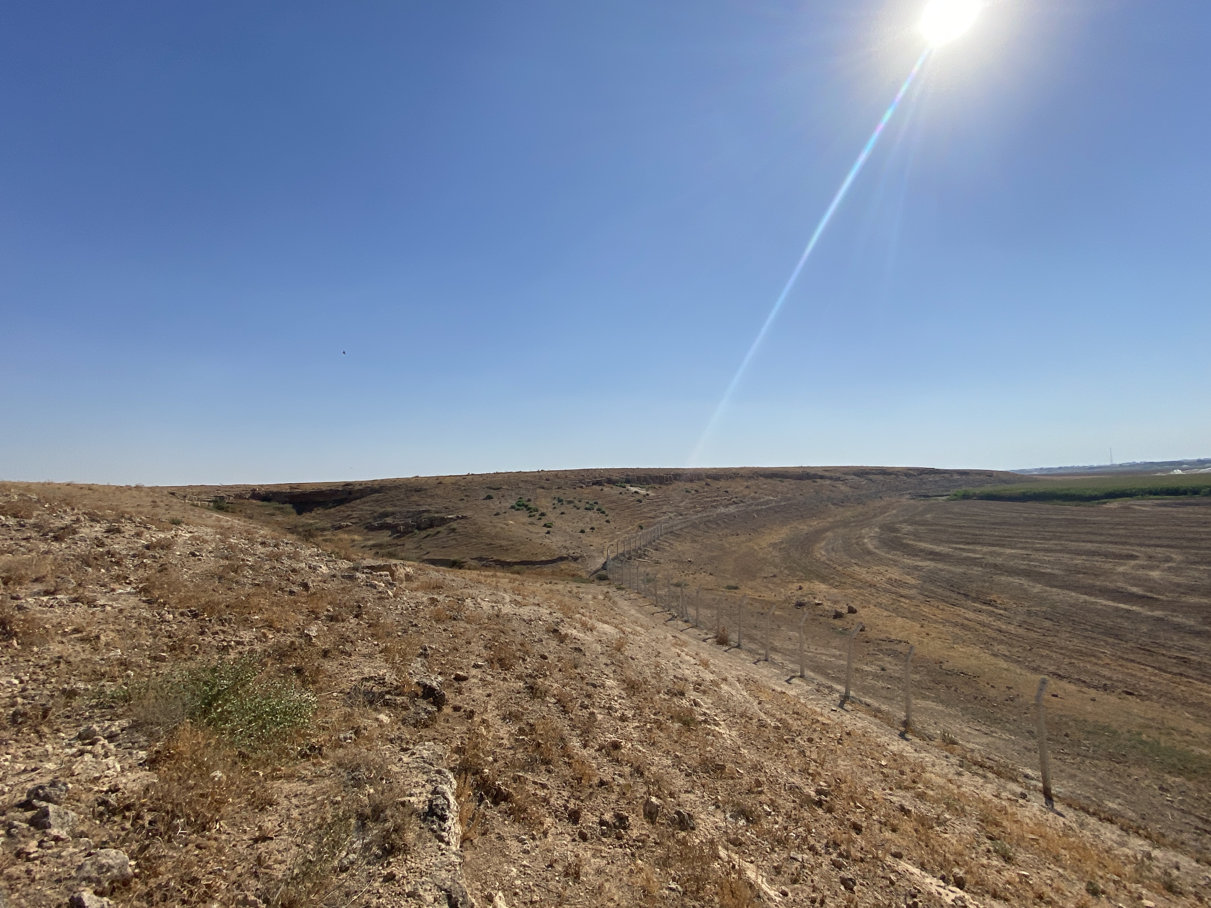 Satılık Tarla - Şanlıurfa Harran ilan görseli 21