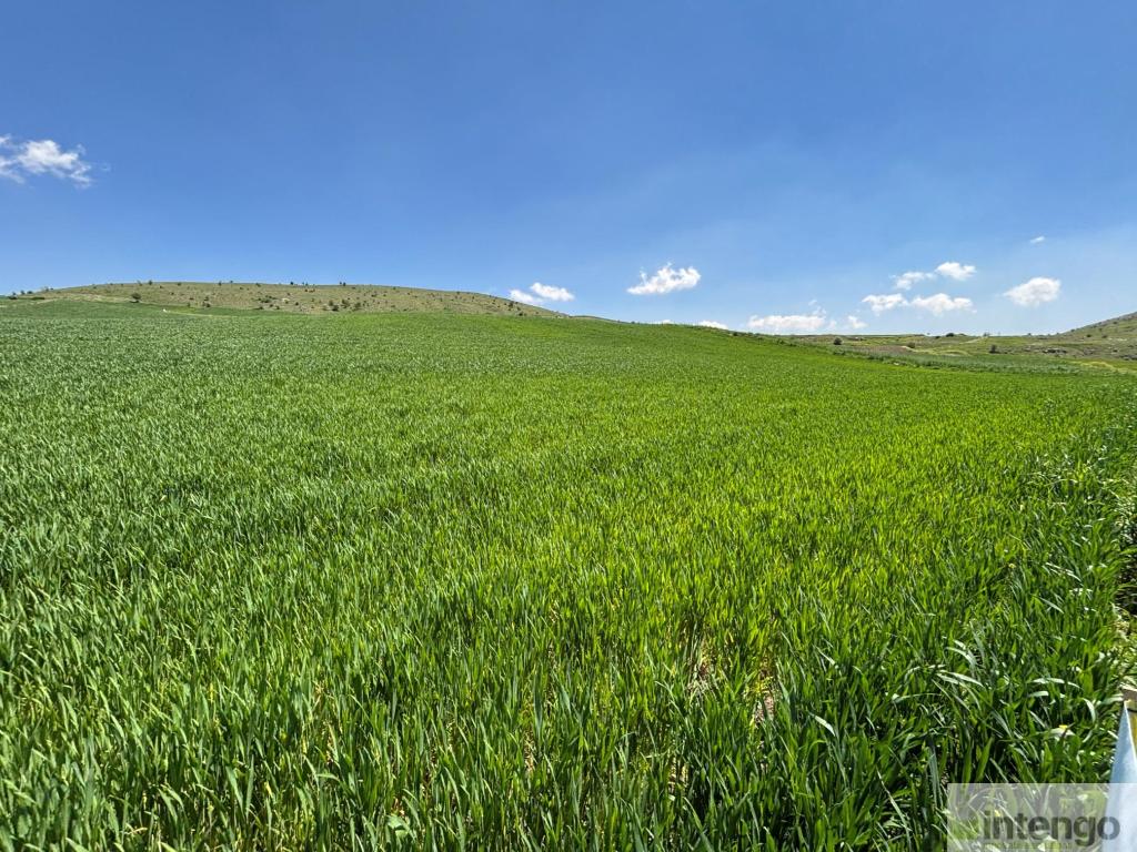 KALECİK ÇİFTLİKKÖY MAHALLESİ'NDE SATILIK TARLA (R-1813)