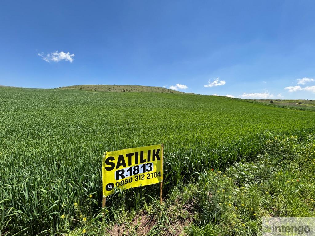 KALECİK ÇİFTLİKKÖY MAHALLESİ'NDE SATILIK TARLA (R-1813)