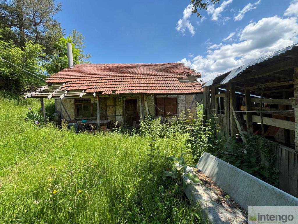 HENDEK GÜNEY MAHALLESİ'NDE SATILIK FINDIK BAHÇESİ (R-1822)