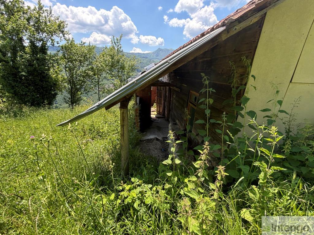 HENDEK GÜNEY MAHALLESİ'NDE SATILIK FINDIK BAHÇESİ (R-1822)