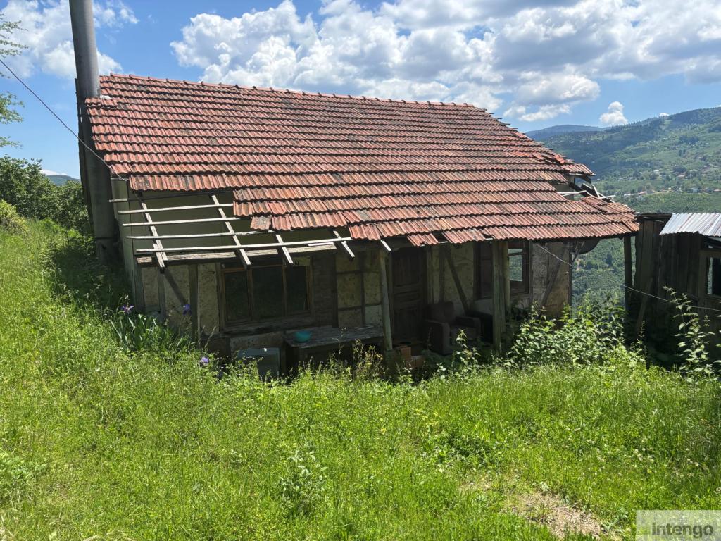 HENDEK GÜNEY MAHALLESİ'NDE SATILIK FINDIK BAHÇESİ (R-1822)
