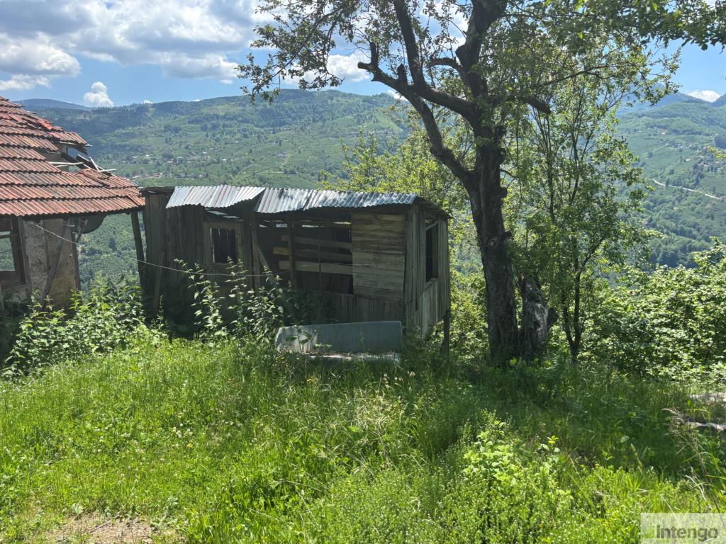 HENDEK GÜNEY MAHALLESİ'NDE SATILIK FINDIK BAHÇESİ (R-1822)