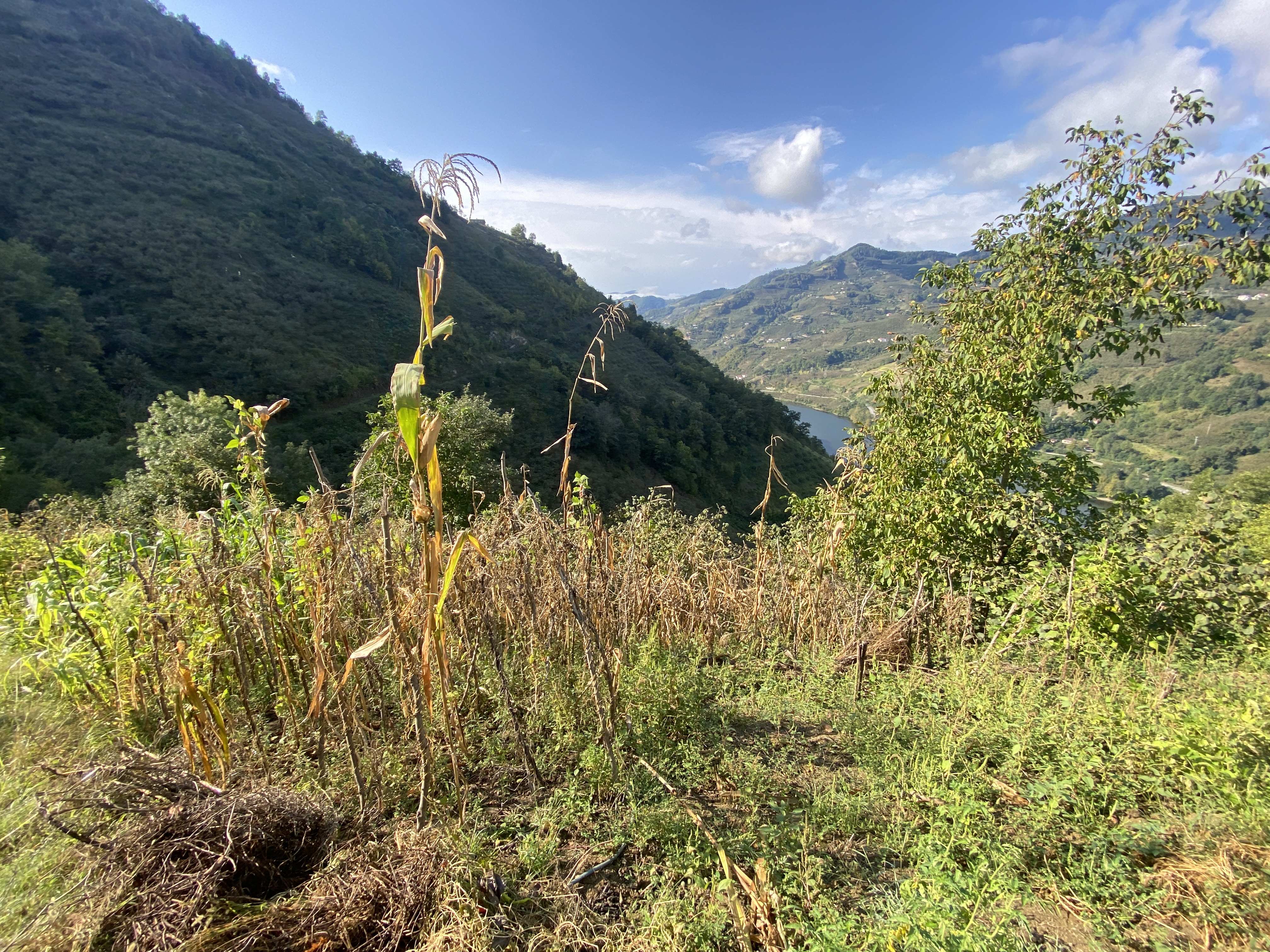 Görsel 2