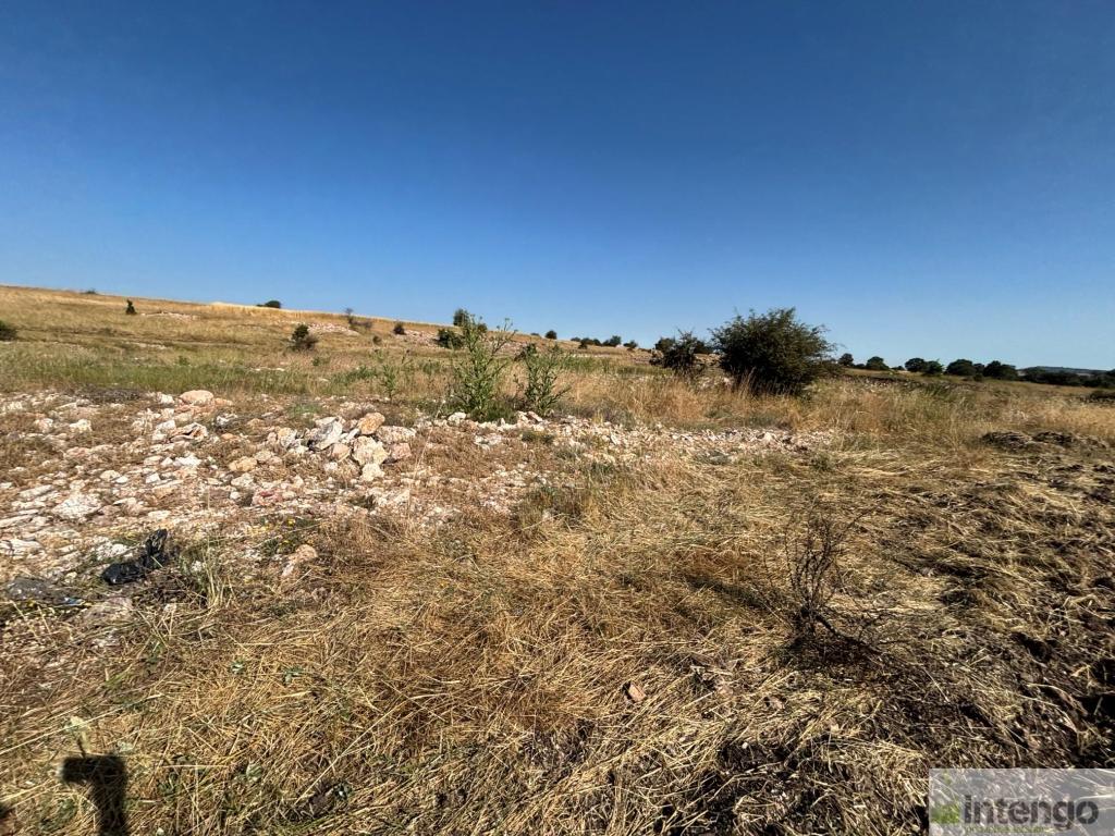 SEYİTGAZİ SARICAİLYAS MAHALLESİ'NDE SATILIK TARLA (R-1843) — foto 6