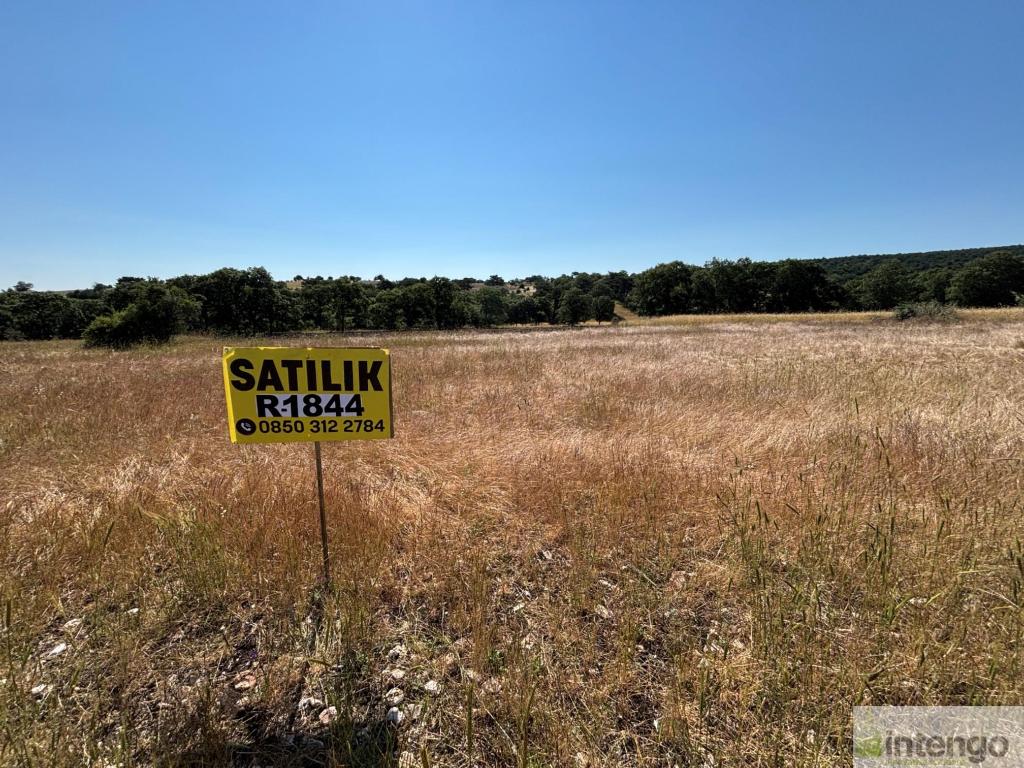 SEYİTGAZİ SARICAİLYAS MAHALLESİ'NDE SATILIK TARLA (R-1844) — foto 5