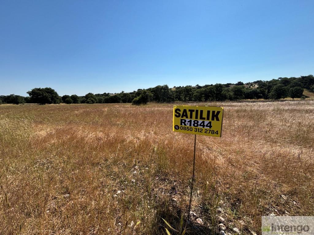 SEYİTGAZİ SARICAİLYAS MAHALLESİ'NDE SATILIK TARLA (R-1844) — foto 3