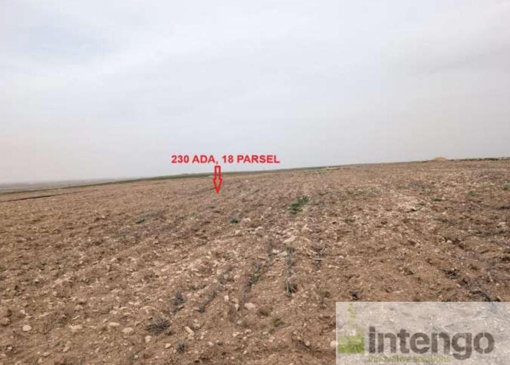 YUNAK PİRİBEYLİ MAHALLESİ'NDE SATILIK TARLA (R-1851) — foto 2