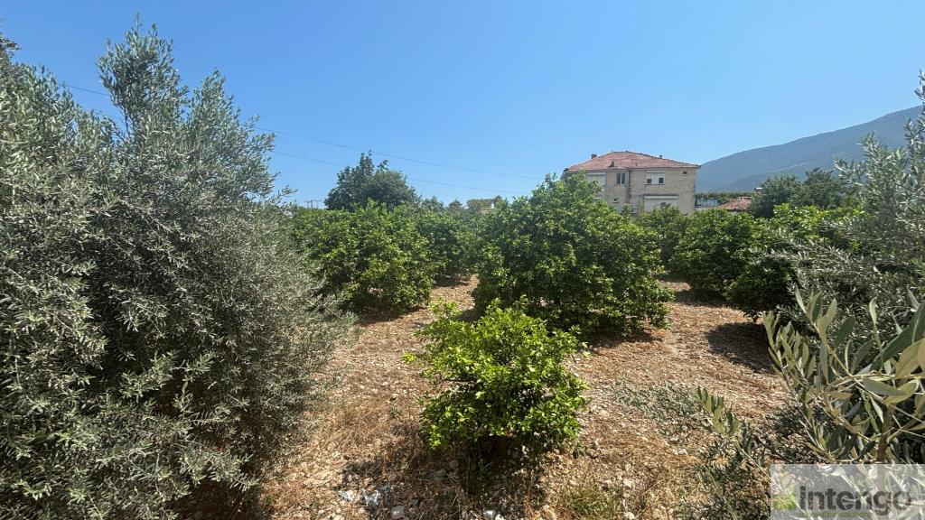 FİNİKE TURUNÇOVA MAHALLESİ'NDE SATILIK İMARLI ARSA (R-1854) — foto 3