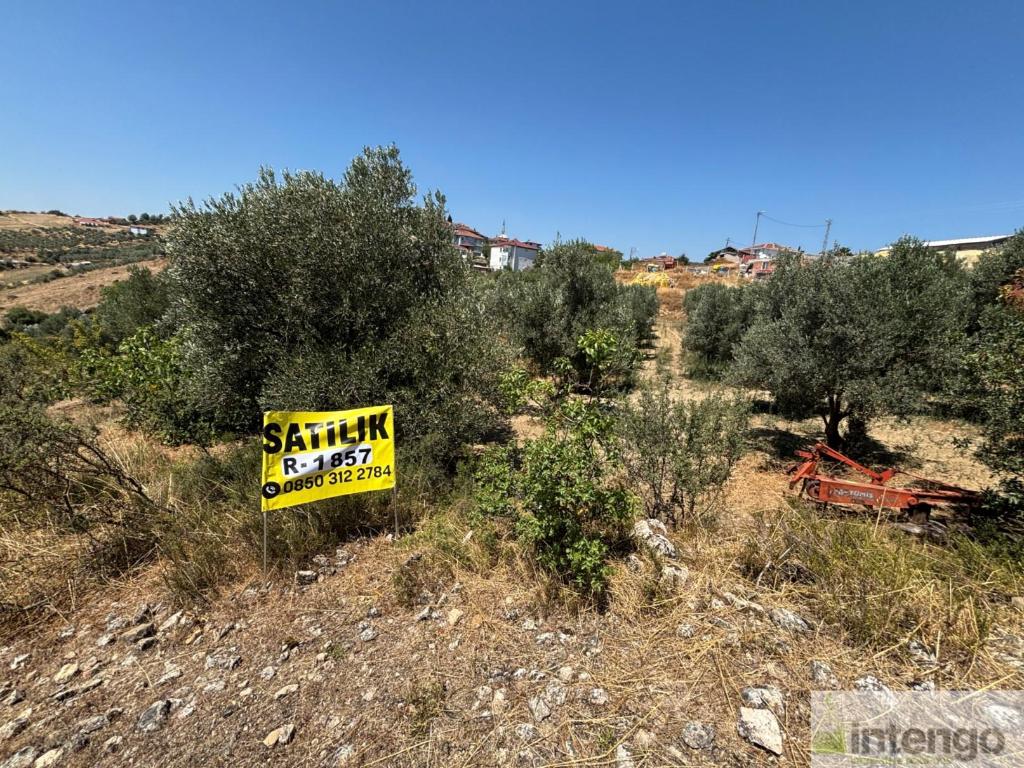 GEYVE SEKİHARMAN MAHALLESİ'NDE SATILIK BAHÇE (R-1857) — foto 8
