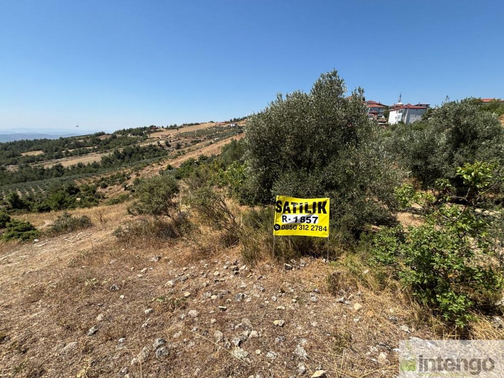 GEYVE SEKİHARMAN MAHALLESİ'NDE SATILIK BAHÇE (R-1857) — foto 3