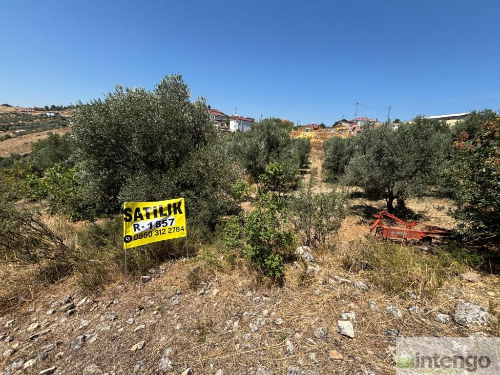 GEYVE SEKİHARMAN MAHALLESİ'NDE SATILIK BAHÇE (R-1857) — foto 2