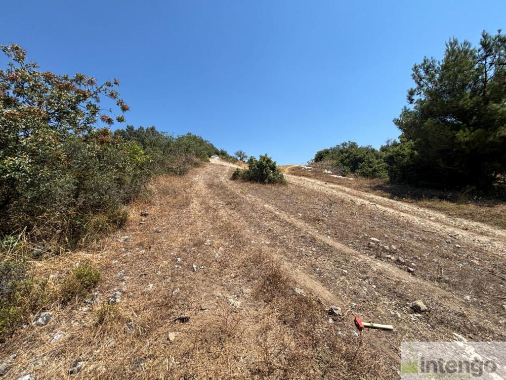 GEYVE SEKİHARMAN MAHALLESİ'NDE SATILIK BAHÇE (R-1857) — foto 6